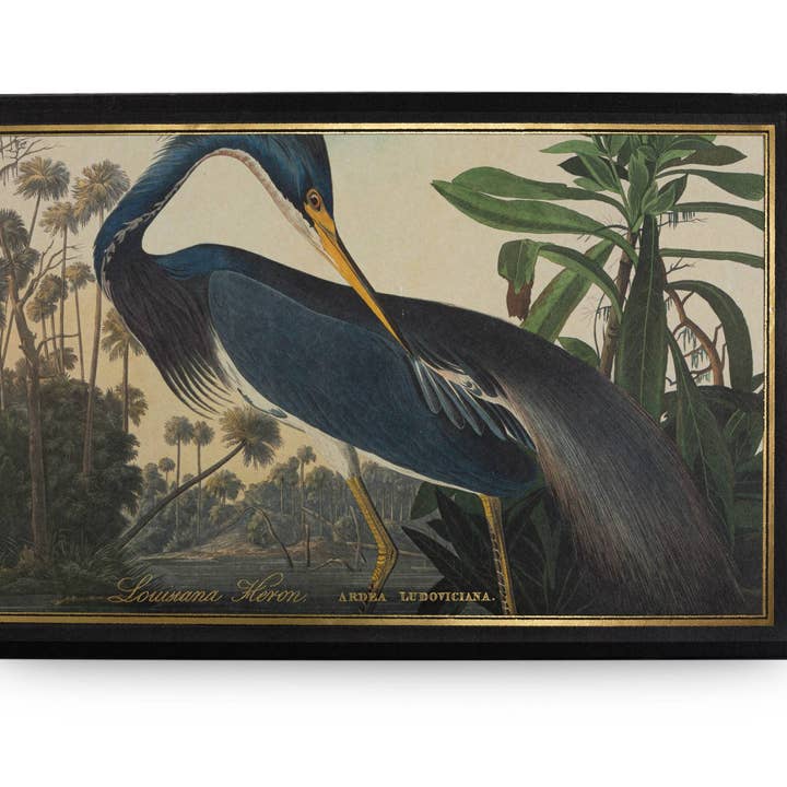 Louisiana Heron | Giant Safety Matches for wholesale by Archivist Gallery | Europe