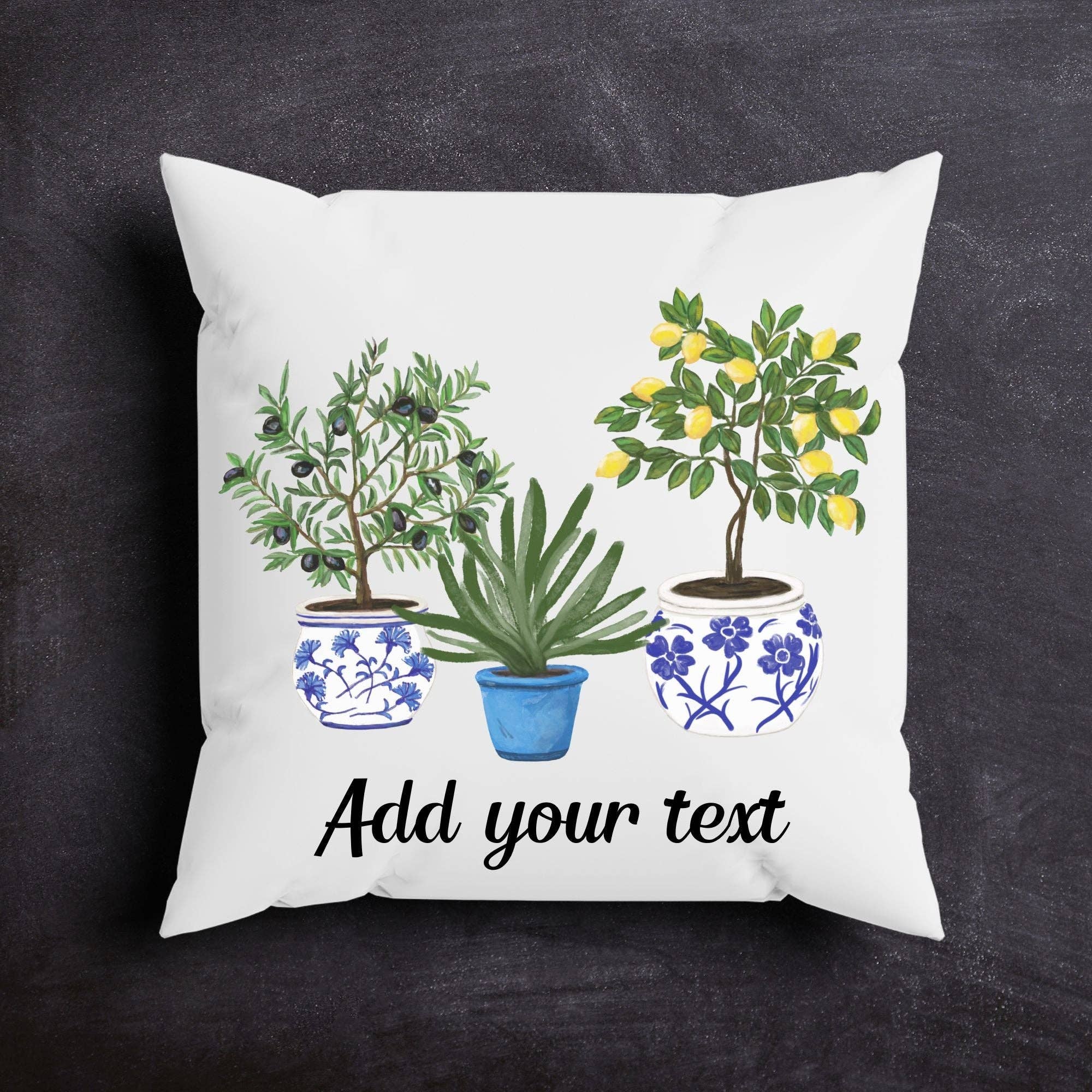 MerikaArt - Wholesale Throw/Decorative Pillow - Lemon Olive Aloe Pillow with Blue Pot Planters0