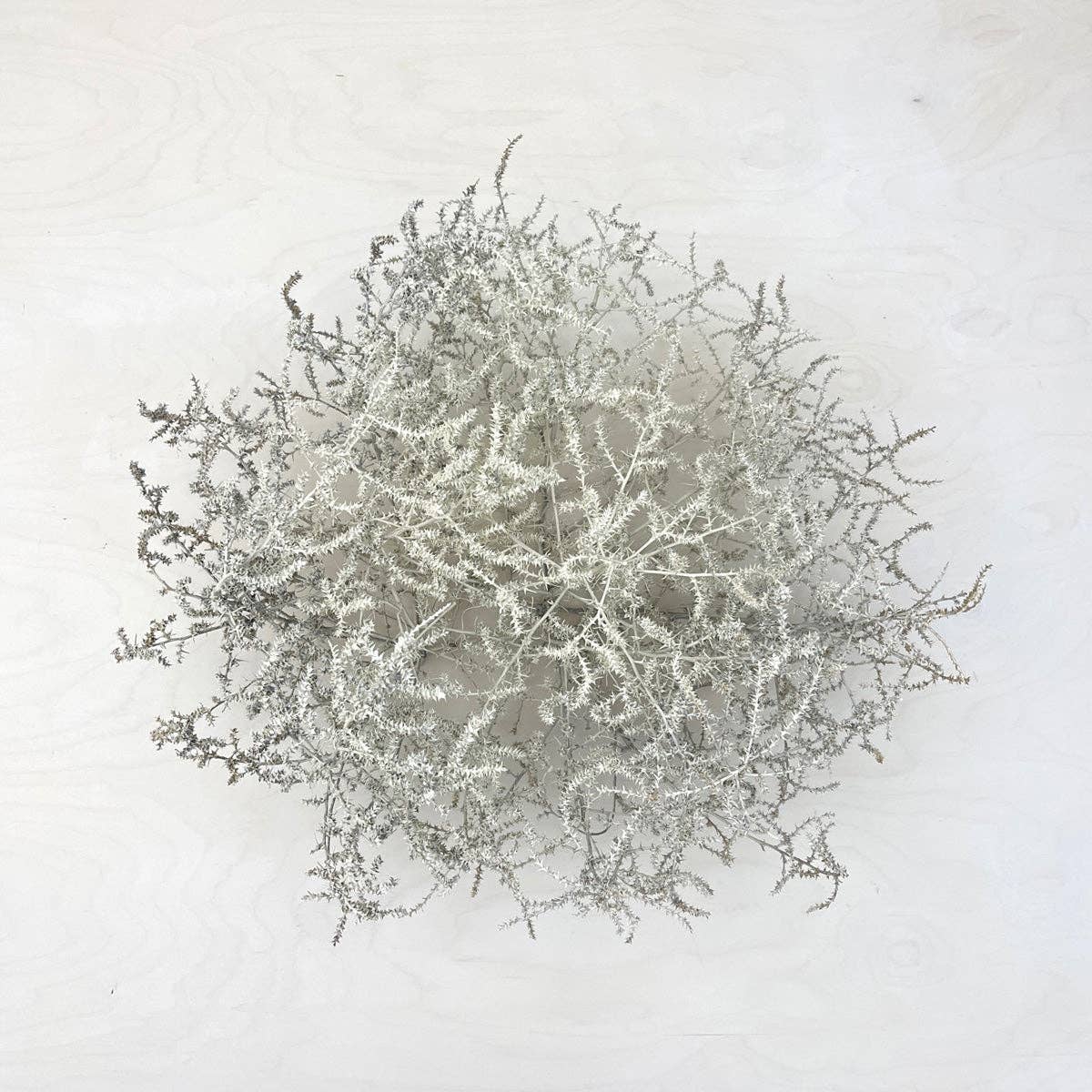 Farmhaus + Co. - Wholesale Decorative Tabletop Object - Tumbleweed Accent7
