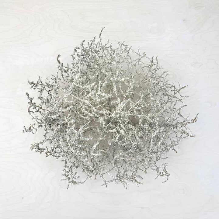 Farmhaus + Co. - Wholesale Decorative Tabletop Object - Tumbleweed Accent7