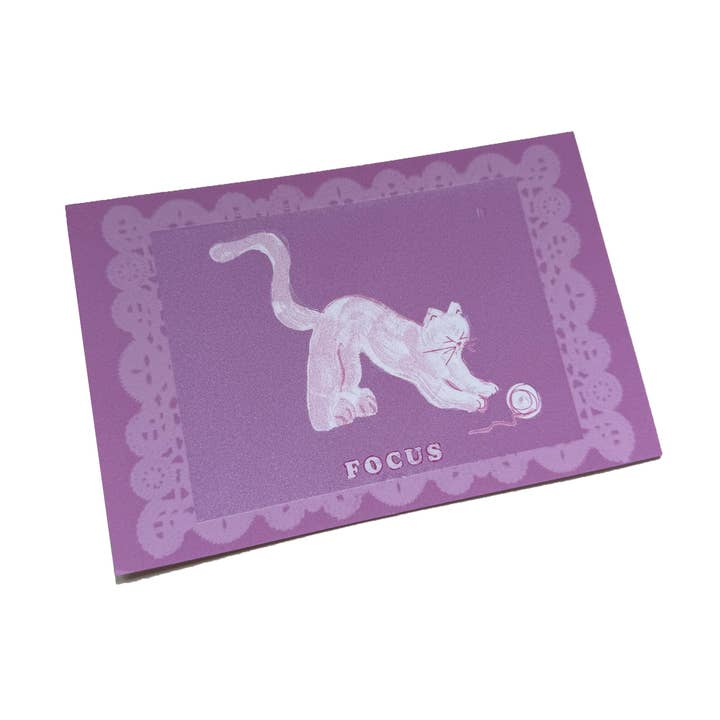 (FOCUS) CAT POSTCARD for wholesale by NIA MEANS PURPOSE.
