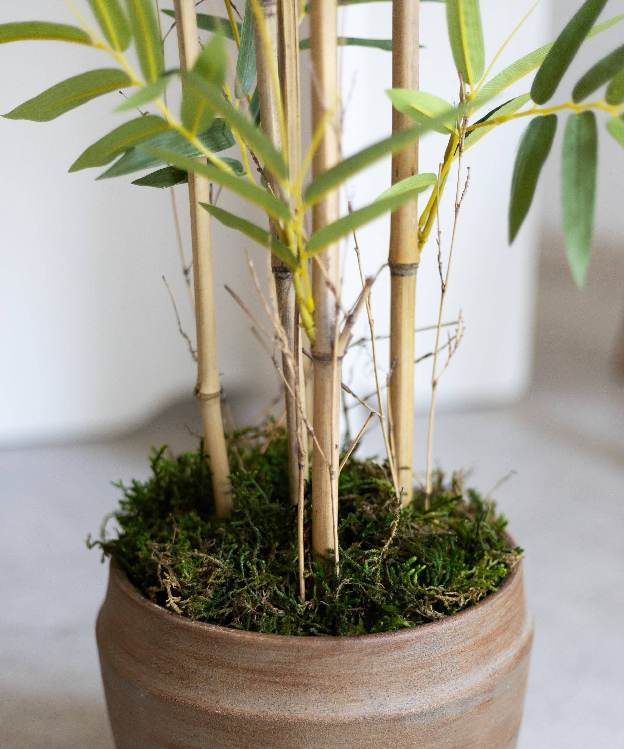 Maia Shop - Wholesale Artificial Plant - Artificial Bamboo Savage 120 cm2