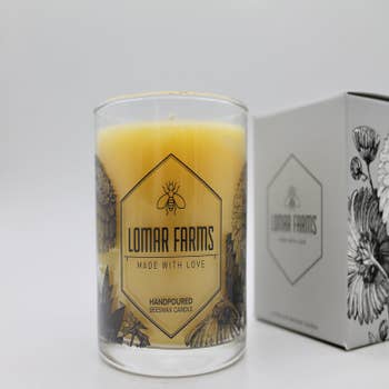 We review candles that bring the theme parks home!, Florida Family  Insiders