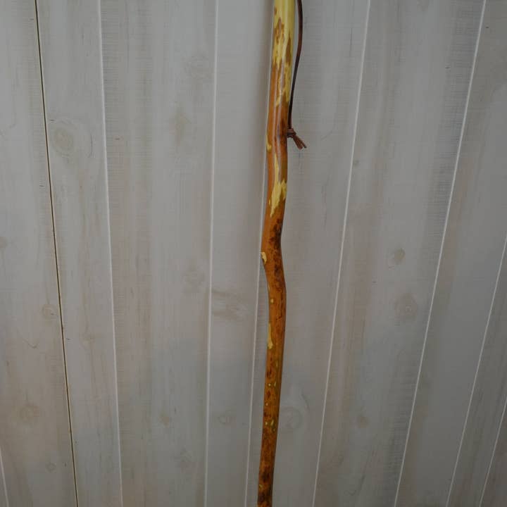 Creation Carvings LLC - Wholesale Fitness Equipment - Walking Stick with Owl Carving in Hardwood, Strong Kiln Dried Hiking Staff by Creation Carvings