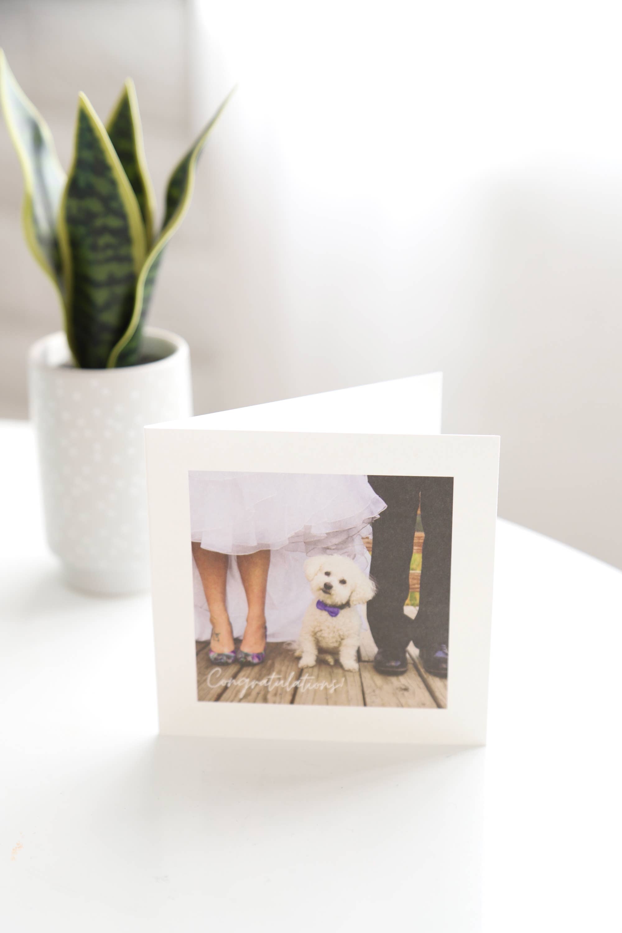 Tell it Well Greeting Cards - Wholesale Wedding Card - She Said Yes