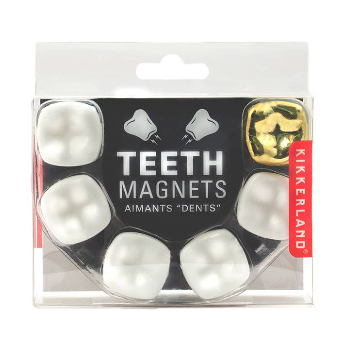 Wisdom Tooth Magnets 6 Per Set for wholesale by Kikkerland Design Inc