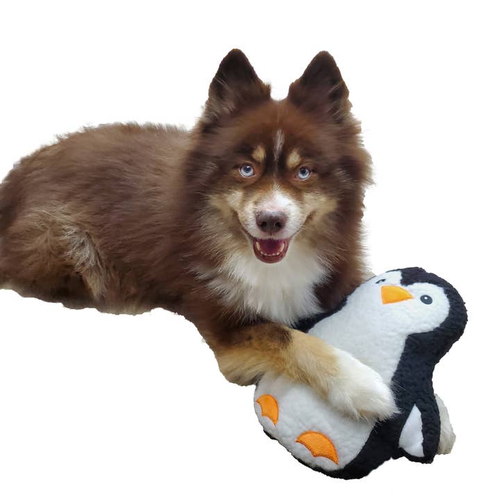 Barker's Bowtique - Vente Peluche – chien - Jouet polaire pour chien Polly le pingouin2