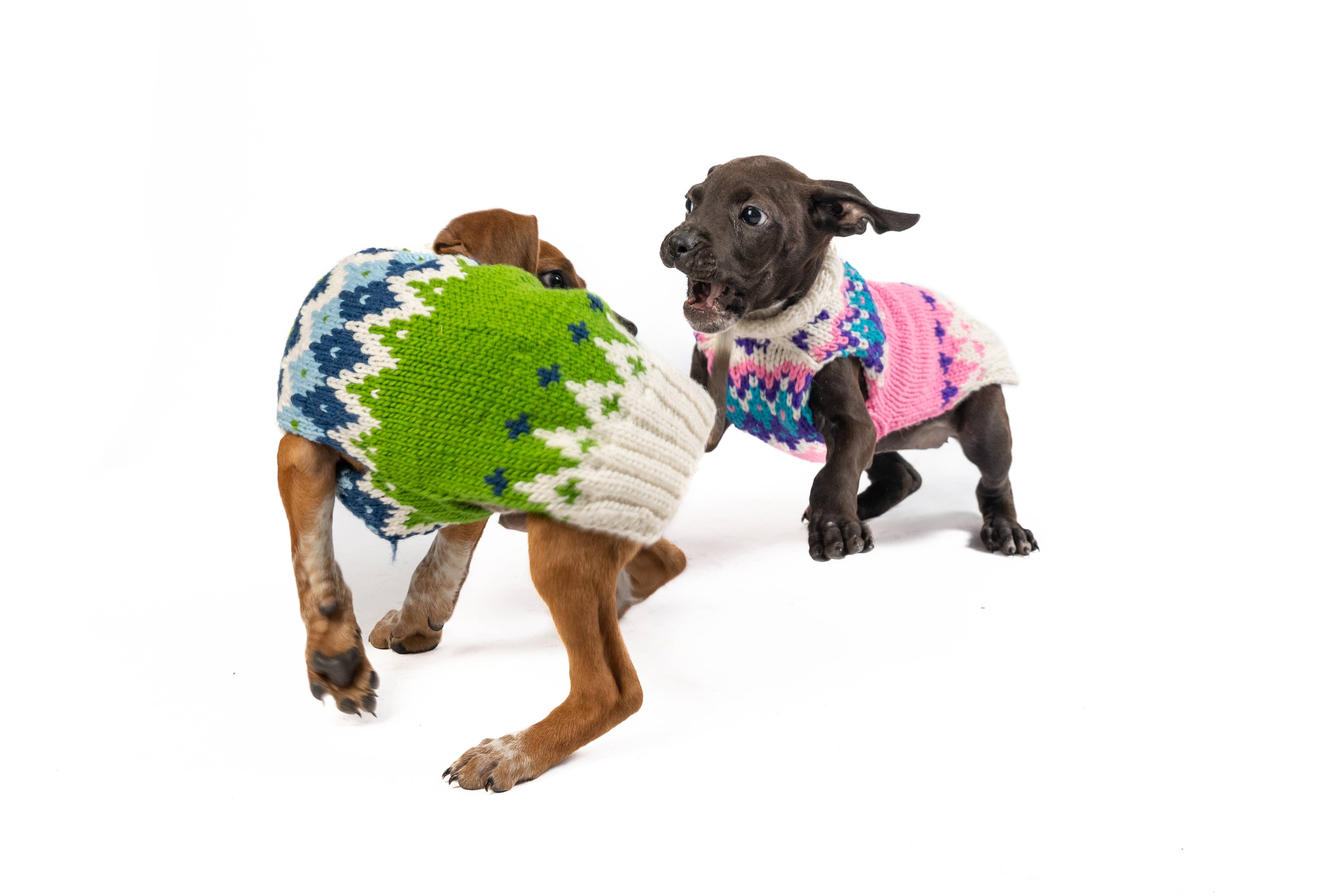 CHILLY DOG LLC - Wholesale Pet Sweater - Dog - Pink Ski Bum Sweater1