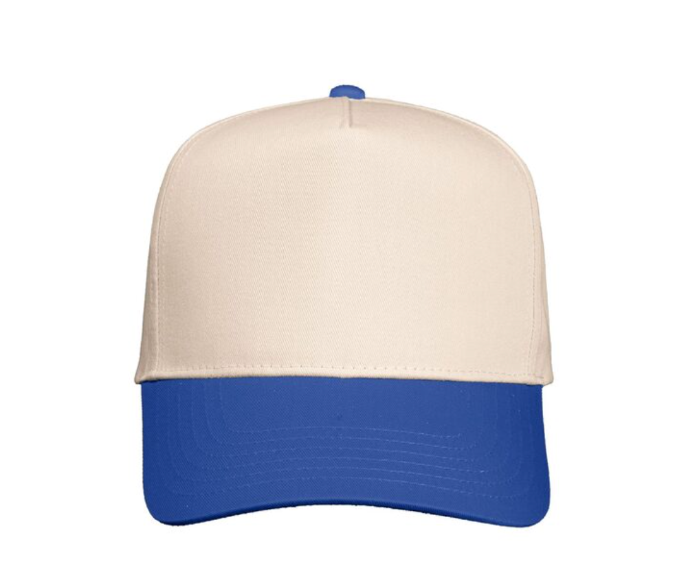 Thirty One Sundays - Wholesale Trucker Hat - Women's - Dilly Dally Two Tone Funny Hat - 3D Puff Embroidered 2