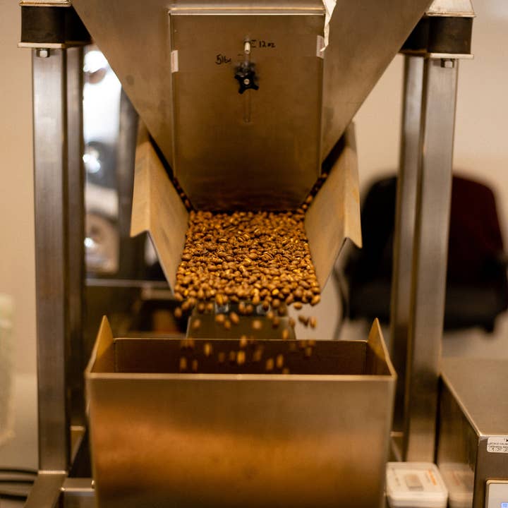 Good Citizen Coffee - Wholesale Coffee Beans - Terra Common Voice Coffee