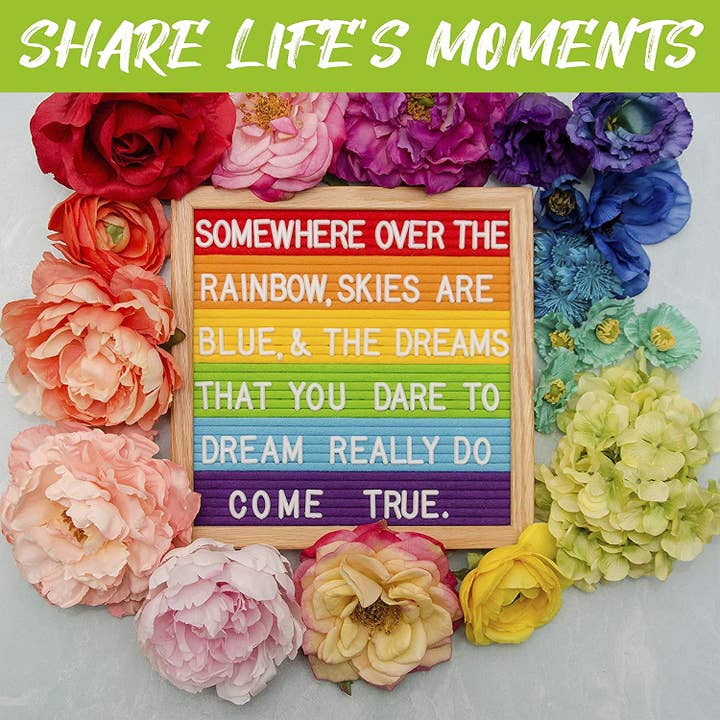 Felt Like Sharing - Wholesale Sign - Rainbow Colorblock Felt Letter Board4