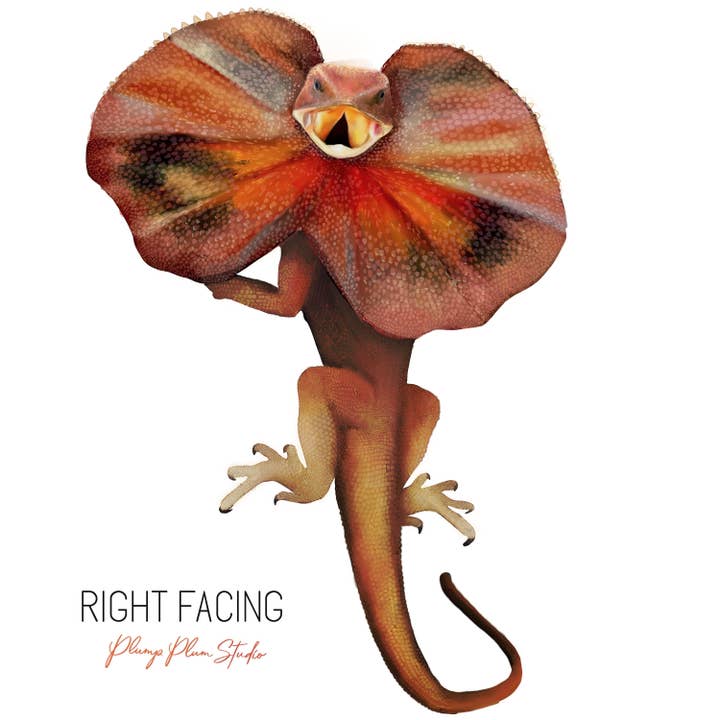 Plump Plum Studio - Wholesale Sticker - Frill-neck Lizard decal, Australian reptile sticker, lizard1