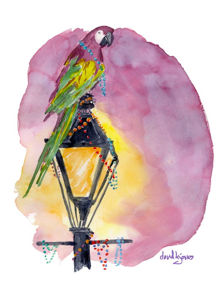 "French Quarter Parrot" (NOLA Mardi Gras art print) for wholesale by davidkjonesart