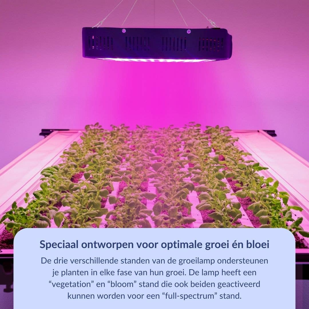 a sunny day – wholesale Ljuskrona/hängande ljus – 1000 watt tillväxtlampa med fullt spektrum, 31x21 cm2