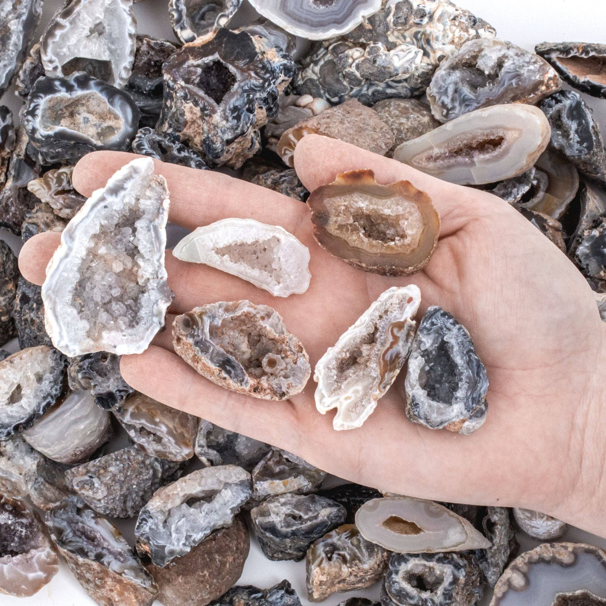 Tree of Life Gems - Wholesale Spiritual Stone/Crystal - NEW! Small Rough/Raw Agate Oco Geodes1