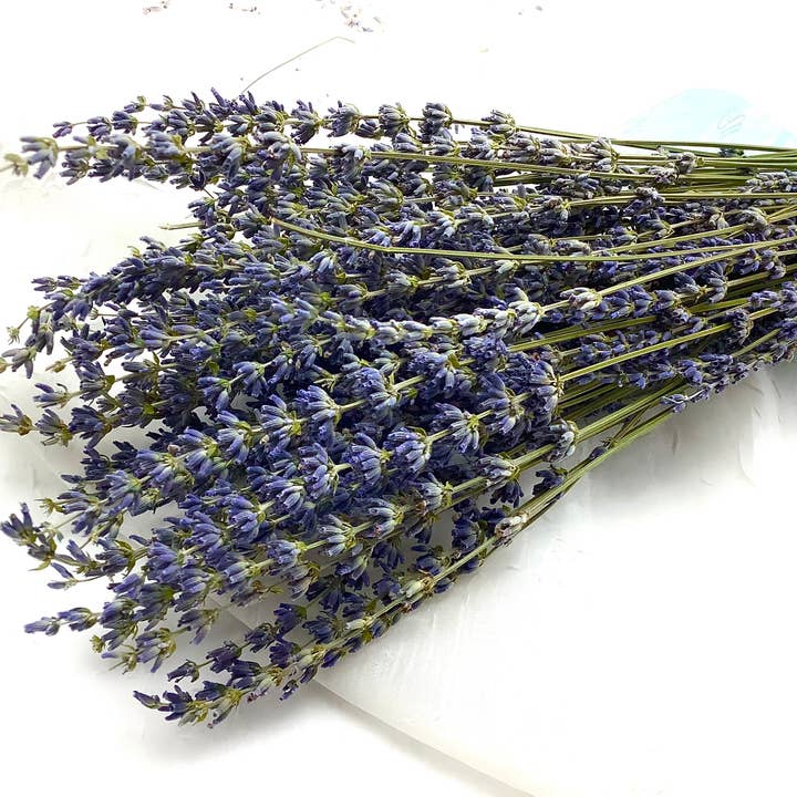 French Lavender Bouquet 100 Stems from Provence France and other Purchase Wholesale lavender stems. Free Returns & Net 60 Terms on Faire trending on Faire.