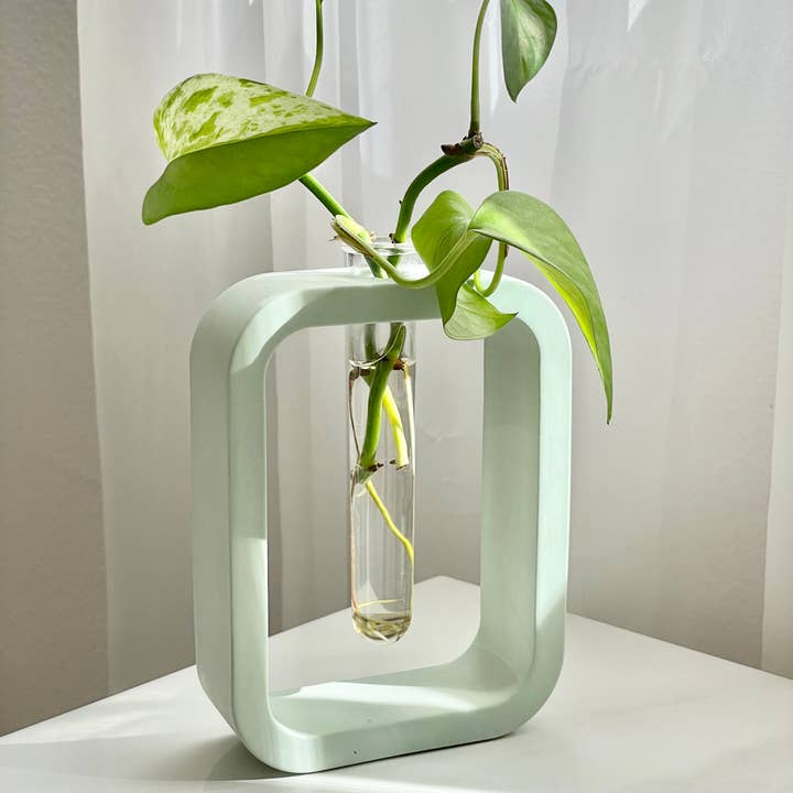 Need it Right MEOW - Vendita all'ingrosso Vasi - Stazione/Vaso in cemento colorato per propagazione piante9