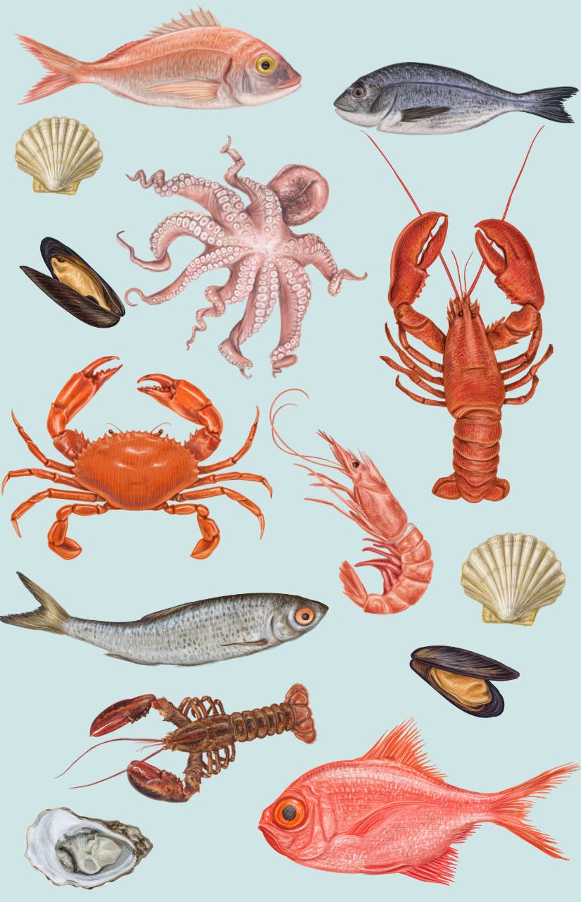 Allgifts Australia - Wholesale Tea towel - Tea Towel - Fisherman's Basket