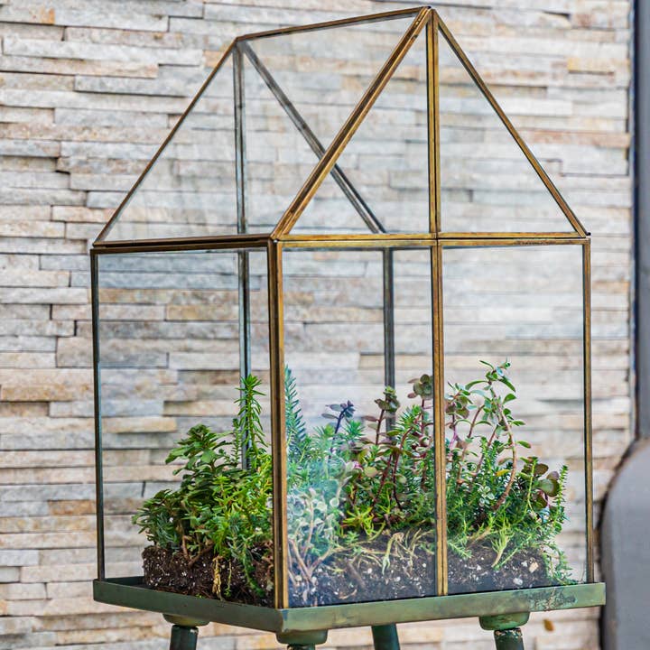 Urban Born Oversize Terrarium Glas+Stål, 28x28x71 cm (Grøn) for engroshandel hos Urban Born