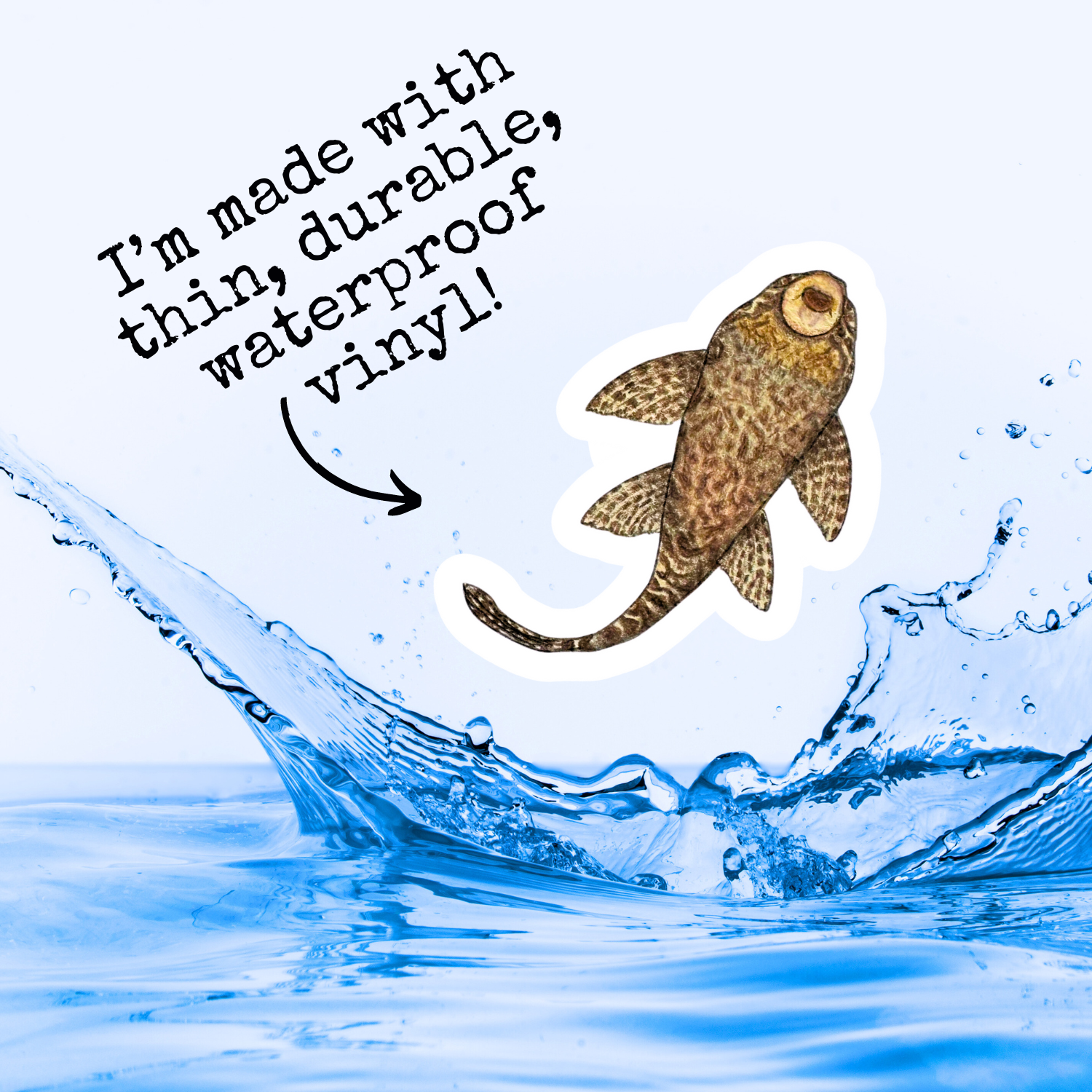 Fins and Frags - Wholesale Sticker - Handmade Pleco Sticker, for Fish & Aquarium Lovers5