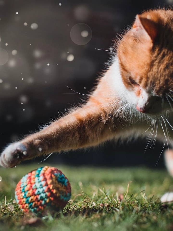 Assorted Cat Nip Balls for wholesale by The Knitted Arrow