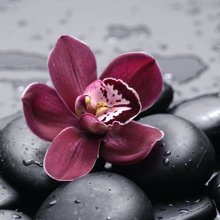 Portofino International Trading, USA - Vente Décorations de table - Galets noirs - 2,2 livres. Sac3