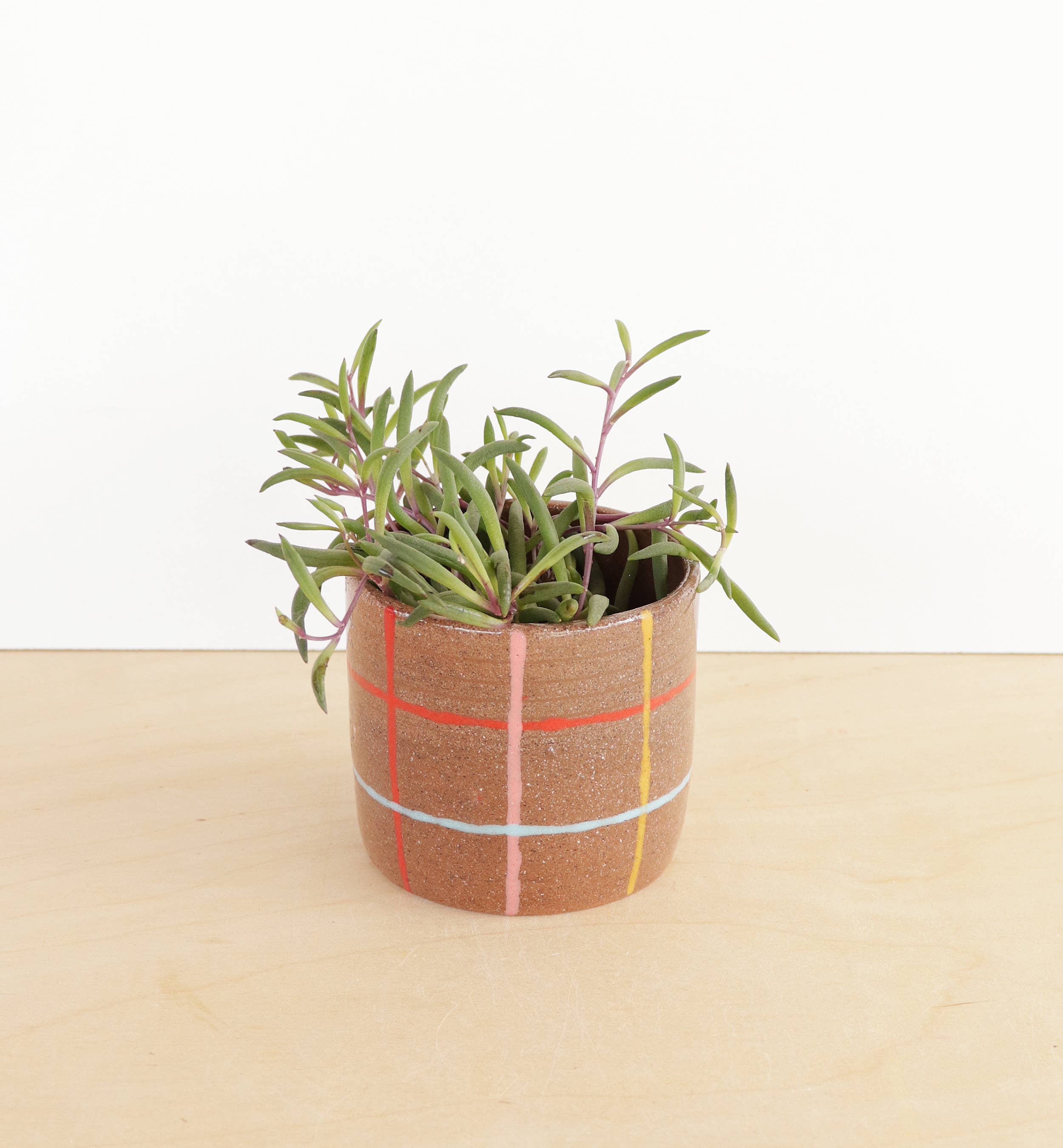 Nightshift Ceramics - Wholesale Plant Pot - Small Ceramic Planter - Grid5