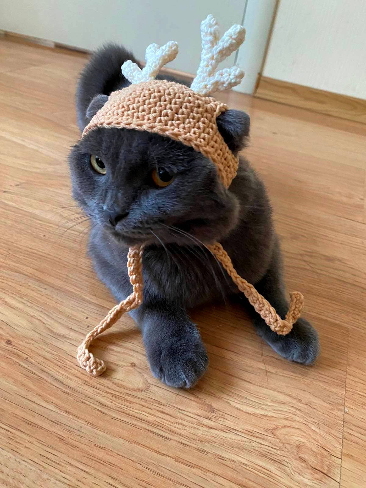 FairyBabyGifts – Engroshandel Kæledyrskostume – Kat – Kat hat med hjorte horn jul kat kostume Catlover gave2