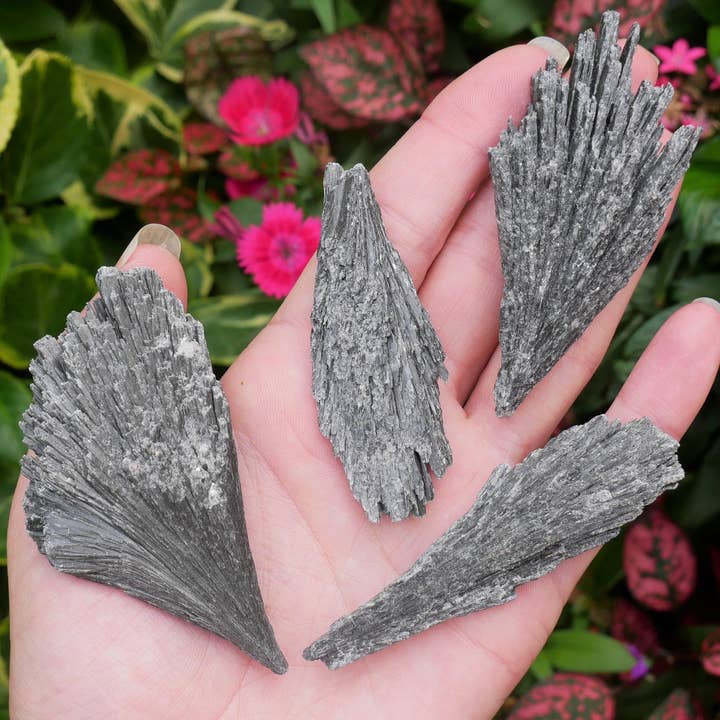 Sort Kyanite Blades for engroshandel hos The Healing Sanctuary