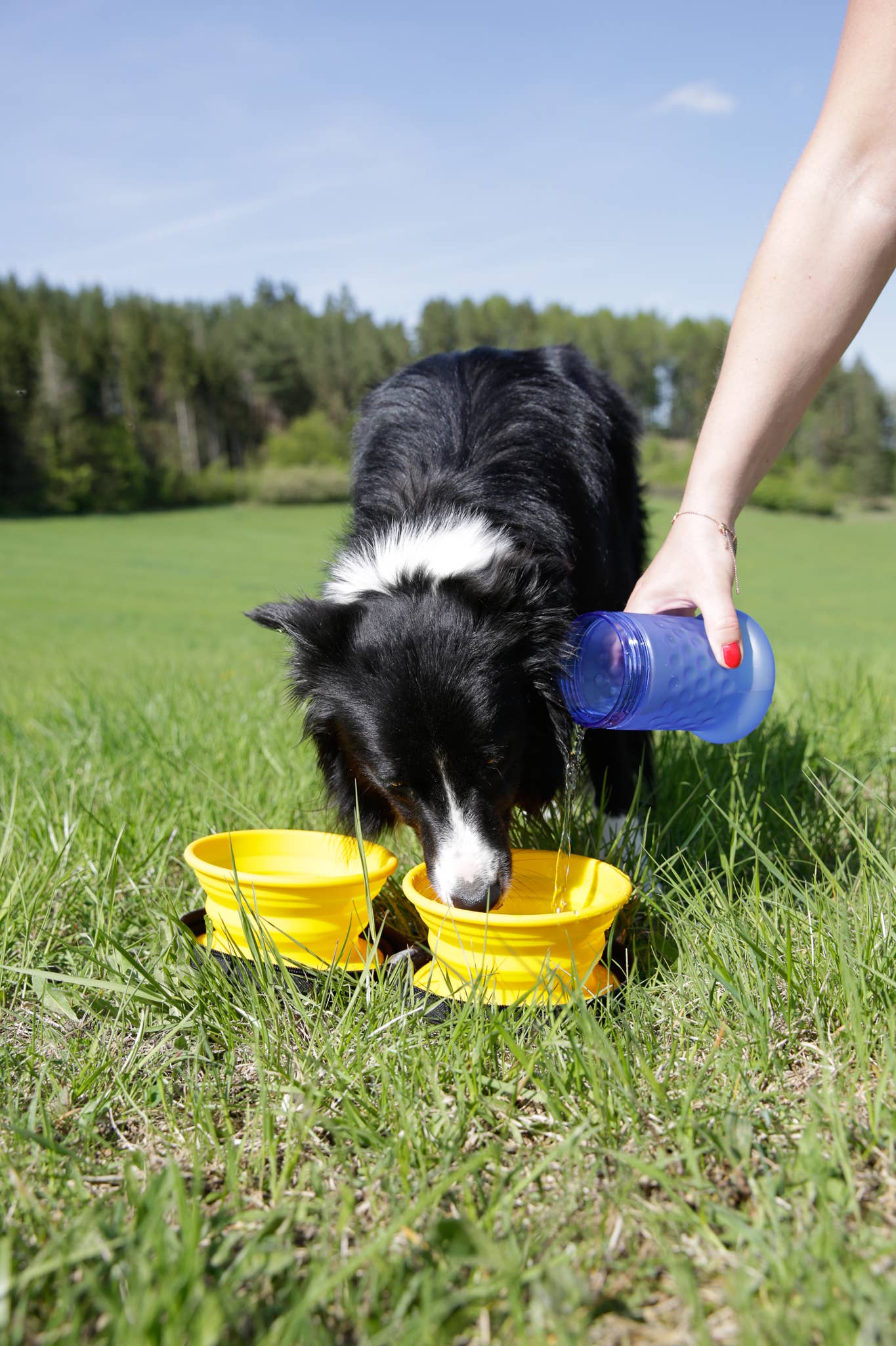 OFiuFiuPL - Wholesale Pet Travel Bowl - Dog - Kiwi Walker Travel Bottle 2 In1 Blue3