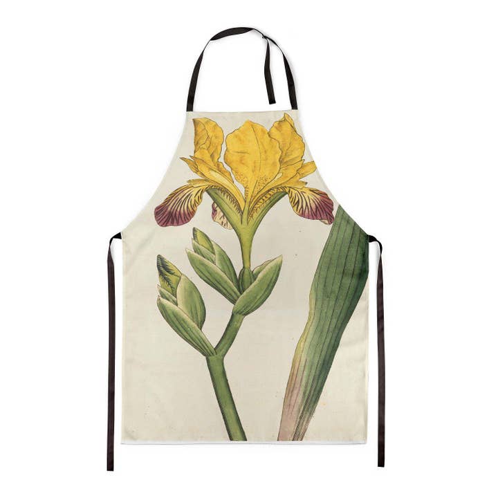 Variegated Iris - Botanical Apron for wholesale by ART CUSHIONS