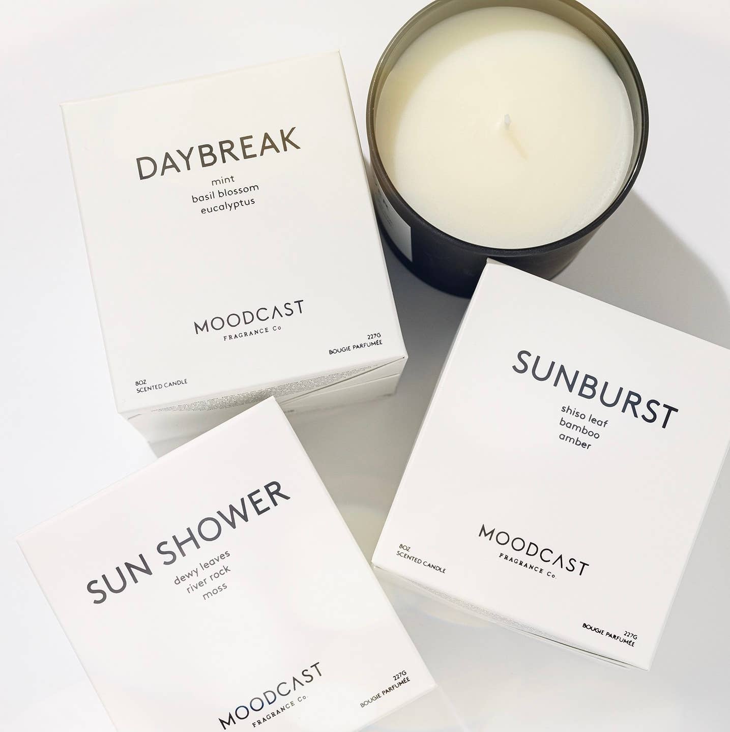 Moodcast Fragrance Co. - Wholesale Jar/Filled Candle - Coconut Wax Candle - Night & Day - Sunburst - 8 oz Glass Jar5