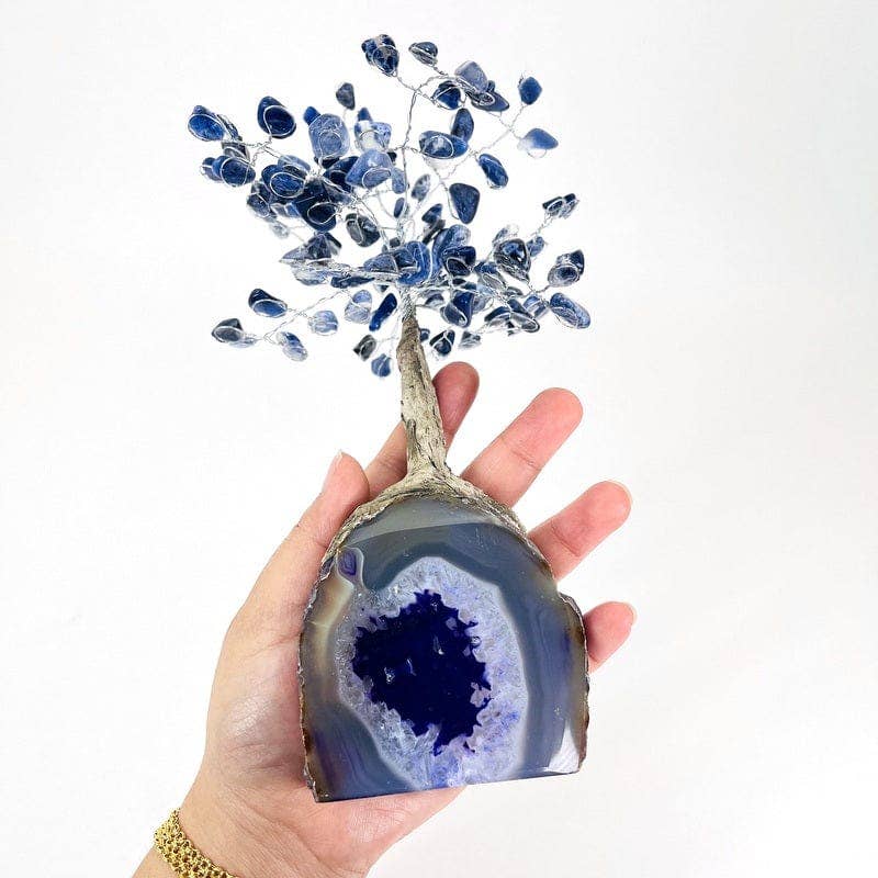 Rock Paradise - Wholesale Spiritual Stone/Crystal - Sodalite Crystal Tree on Agate Geode Base - You Choose Color3