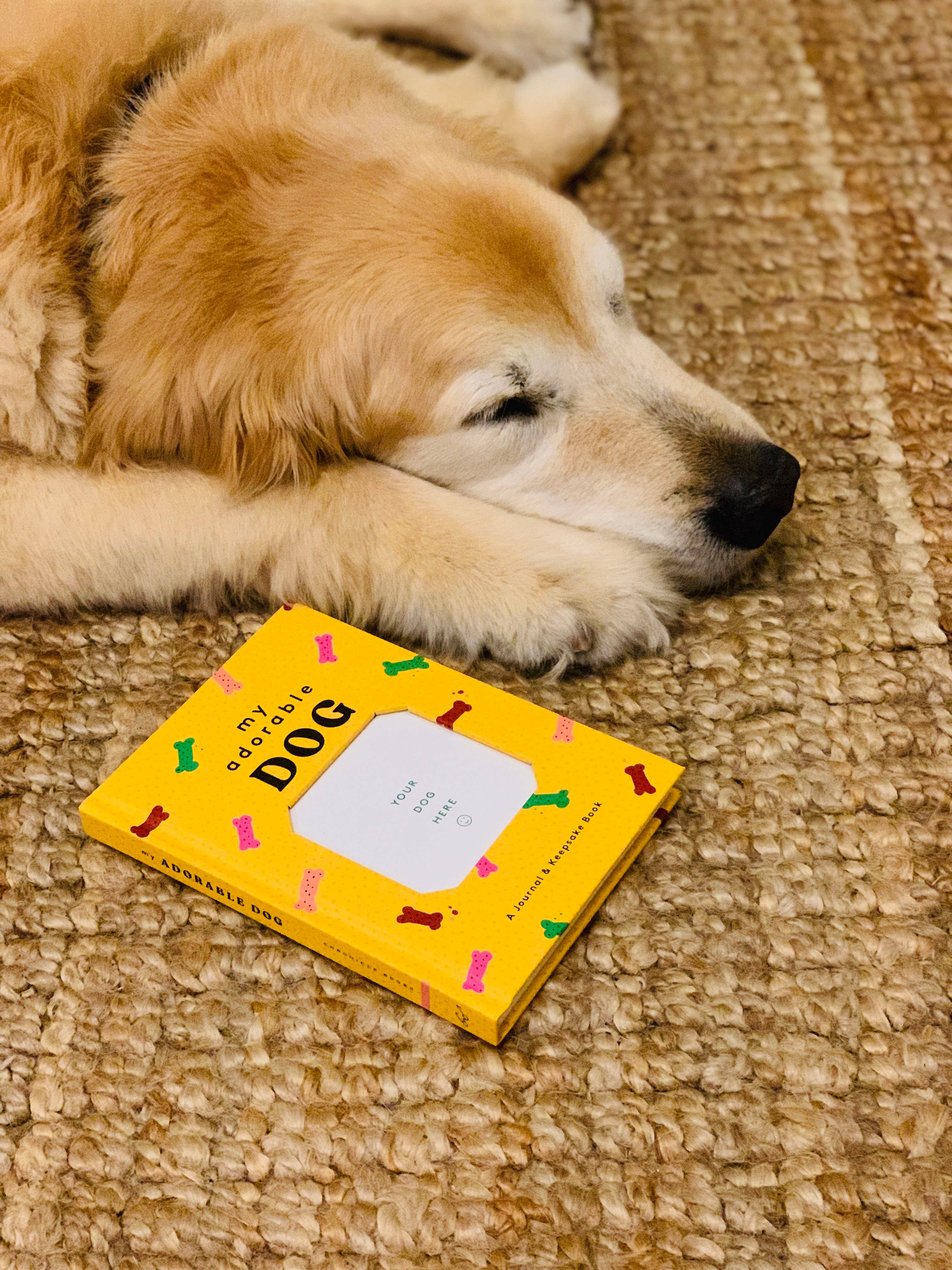 Chronicle Books - Wholesale Journal/Diary - My Adorable Dog1