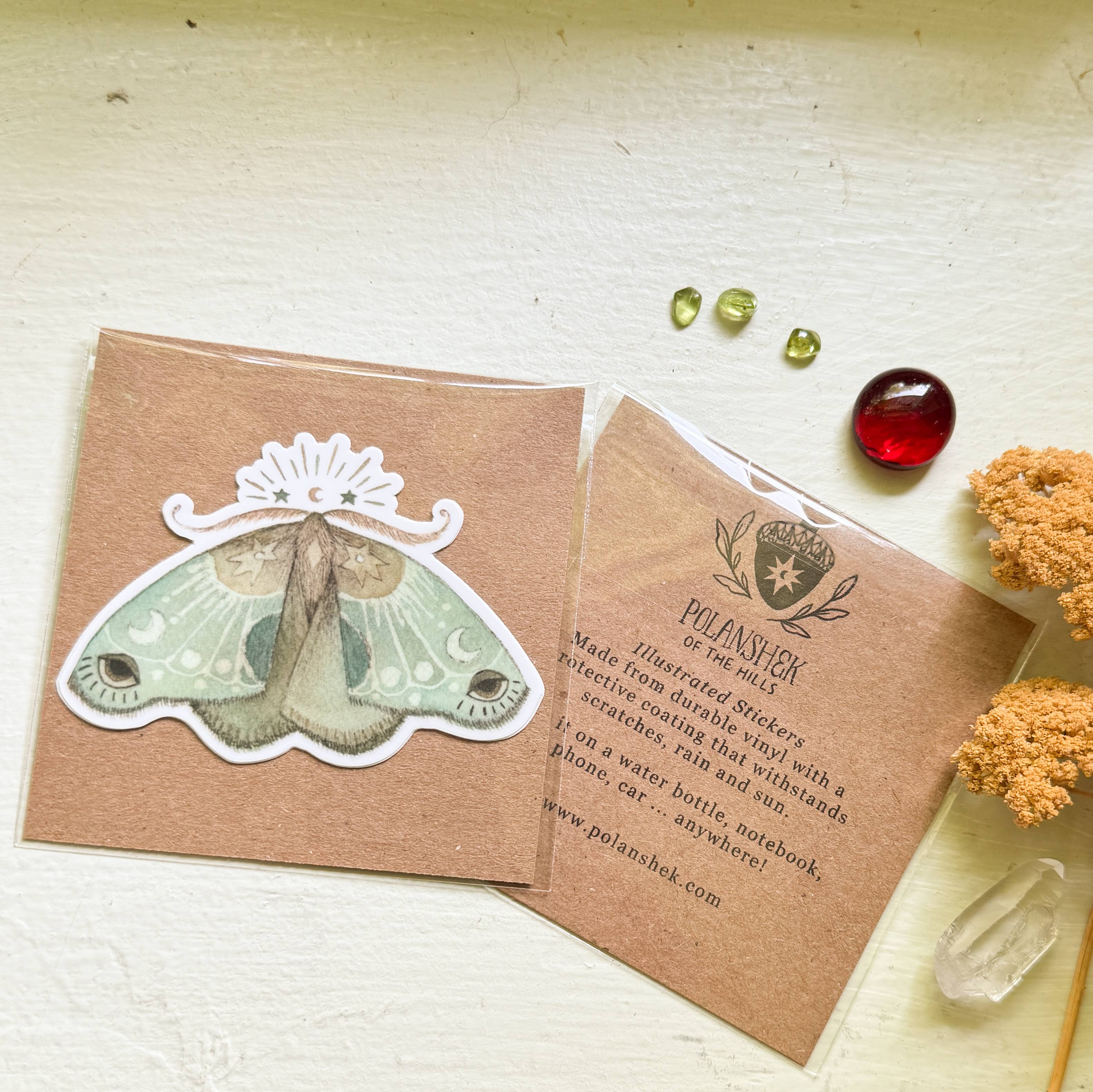 Polanshek of the Hills - Wholesale Sticker - Hummingbird Sticker 3