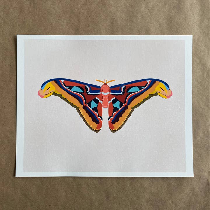 atlas moth art print for wholesale by AnneArchy
