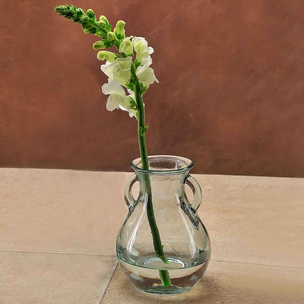 Couronne Co. - Wholesale Vase - 6 1/4" Small French Country Glass Vase0