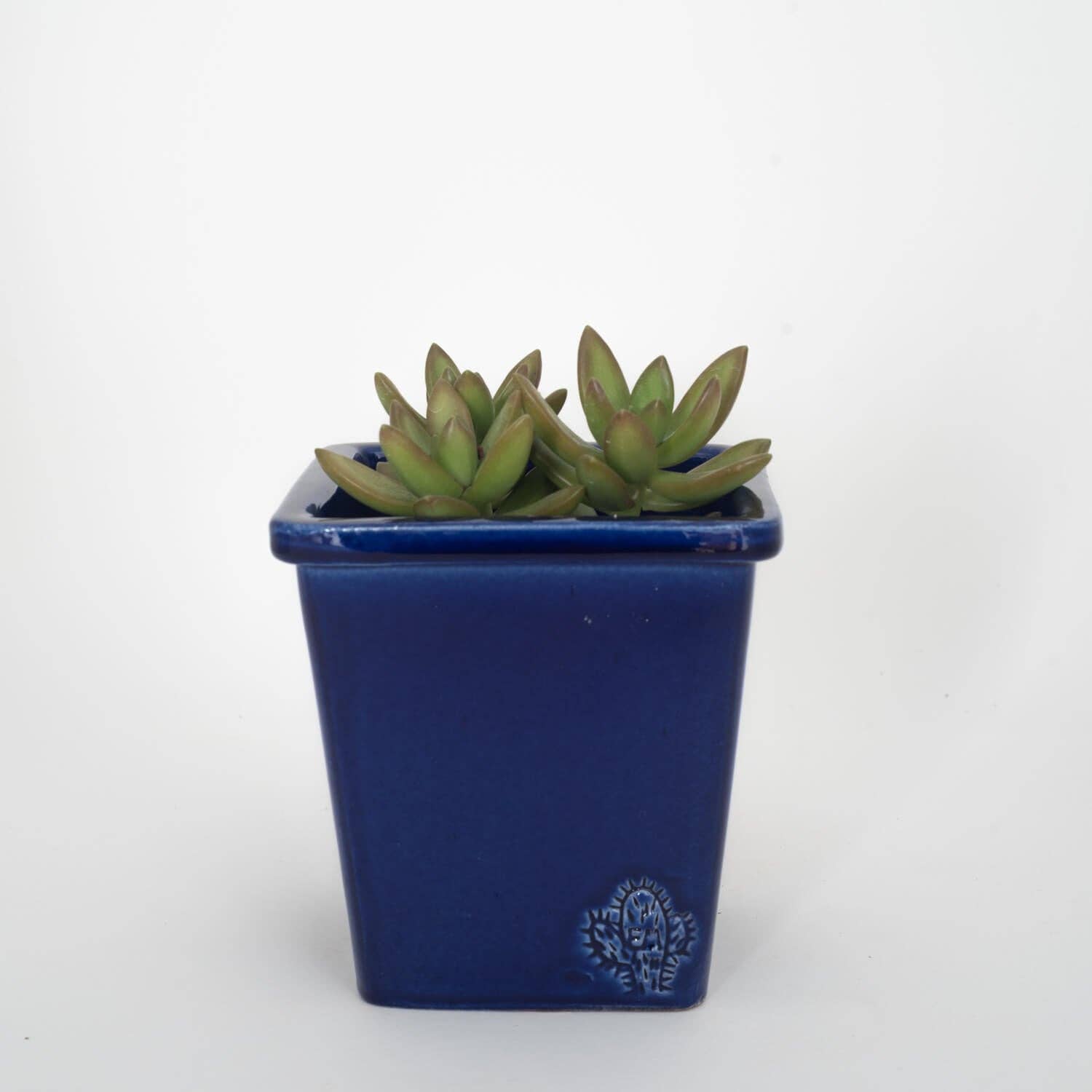 Vasos Quadrados by EM – Engroshandel Plantekrukke – Medium firkantet vase 14x14 cm - blank6