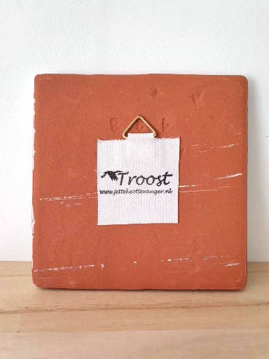 Jetteke Ottevanger Ontwerp/Troost - Wholesale Wall Tile - ceramic owl decorative tile2