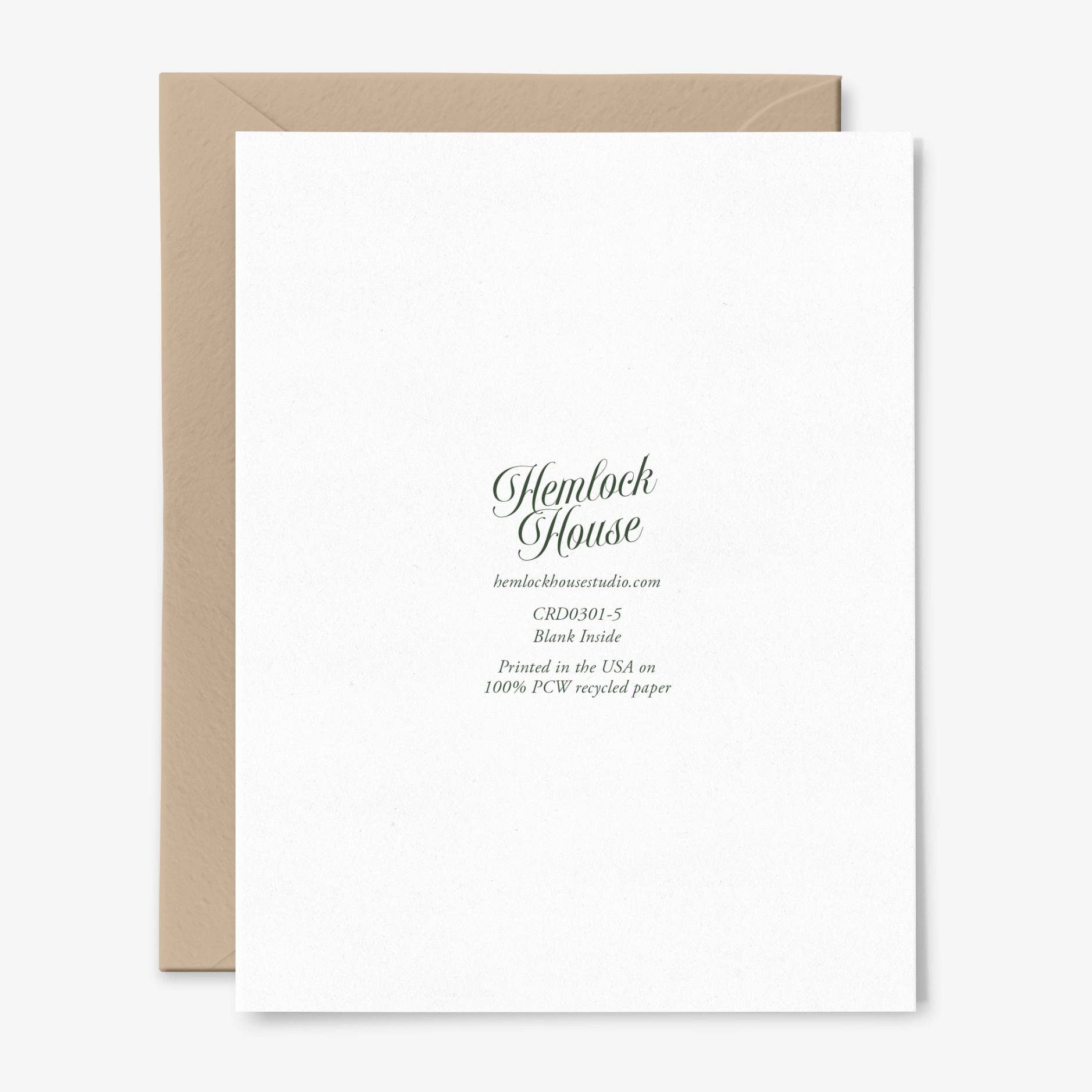 Hemlock House Studio - Wholesale Birthday Card - Have A Wild Birthday | Mushroom  Card | Vintage Art1