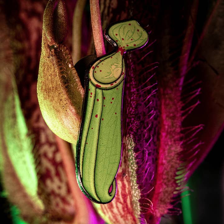 Pitcher-loving Crab Spider Enamel Pin for wholesale by The Roving House