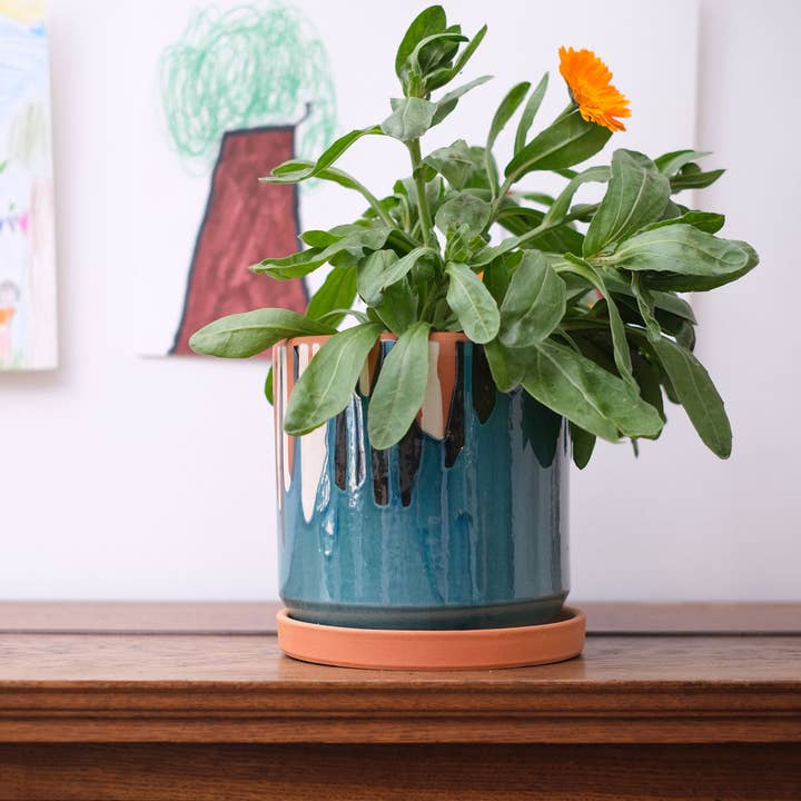 Casa Atlântica - Wholesale Plant Pot - Clay pot with white slip and blue glaze5