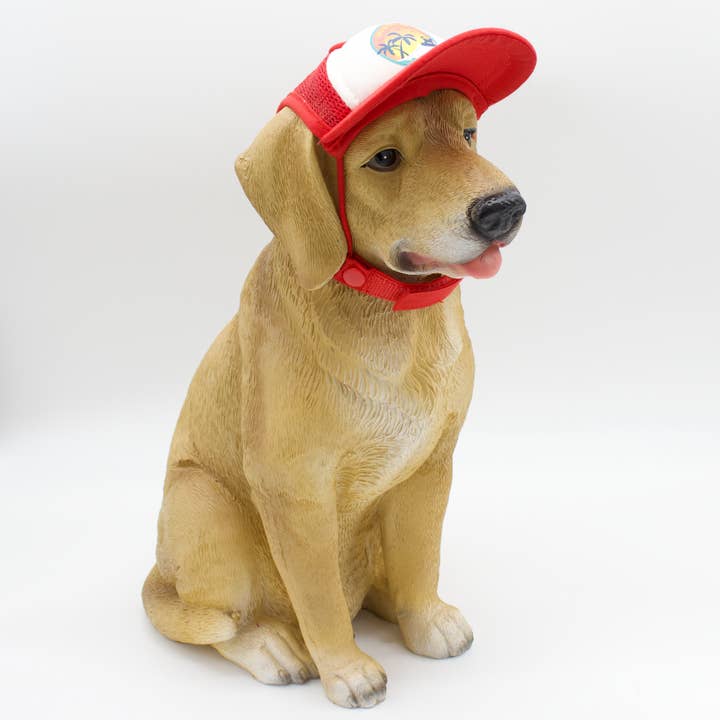 PupLid - Wholesale Pet Hat - Dog - Dog Model + Extra PupLid for Display
