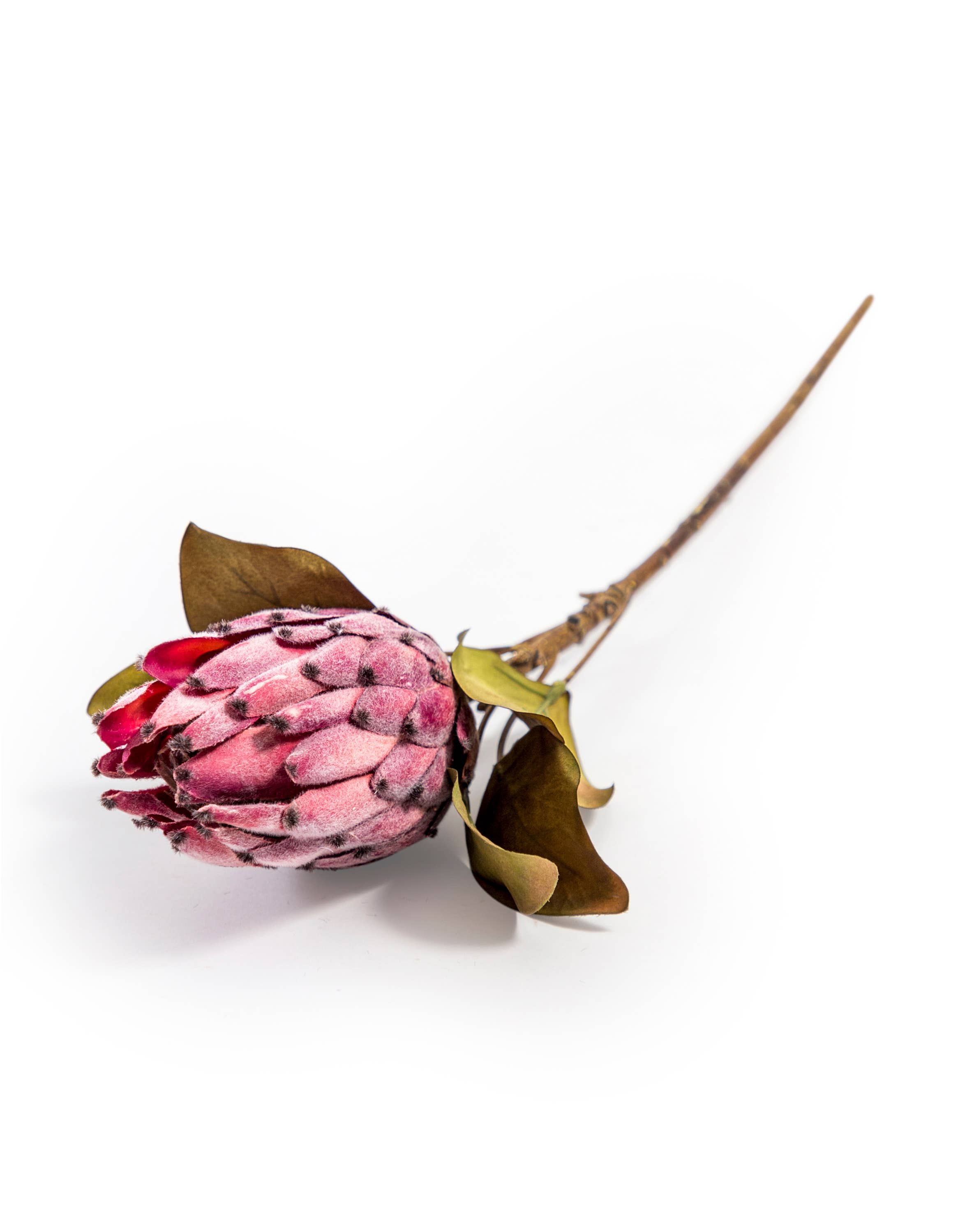 McGowan & Rutherford Ltd - Wholesale Artificial Flowers - Single Protea Stem0