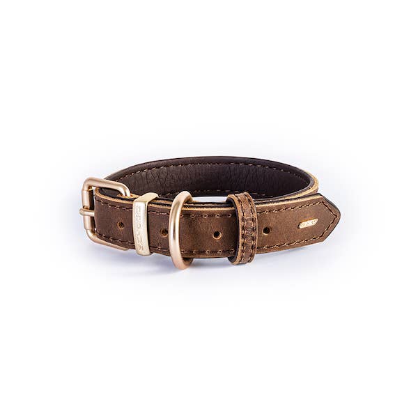 EzyDog - Wholesale Pet Collar - Dog - Ezydog Oxford Leather Collar