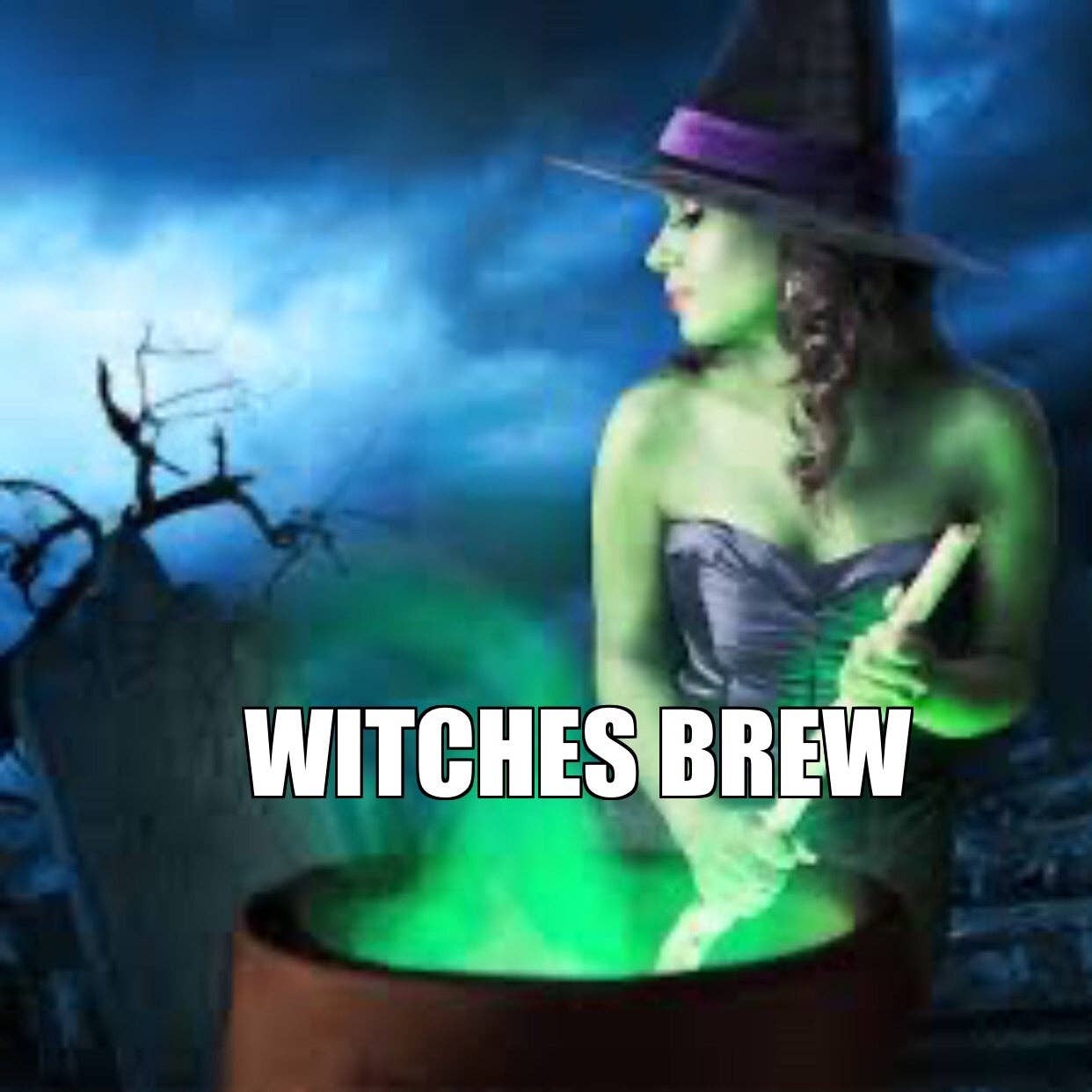 Space-Candy.Shop - Wholesale Suikerspin - Strawberry Classic Cotton Candy, kuipje van 32 oz.12