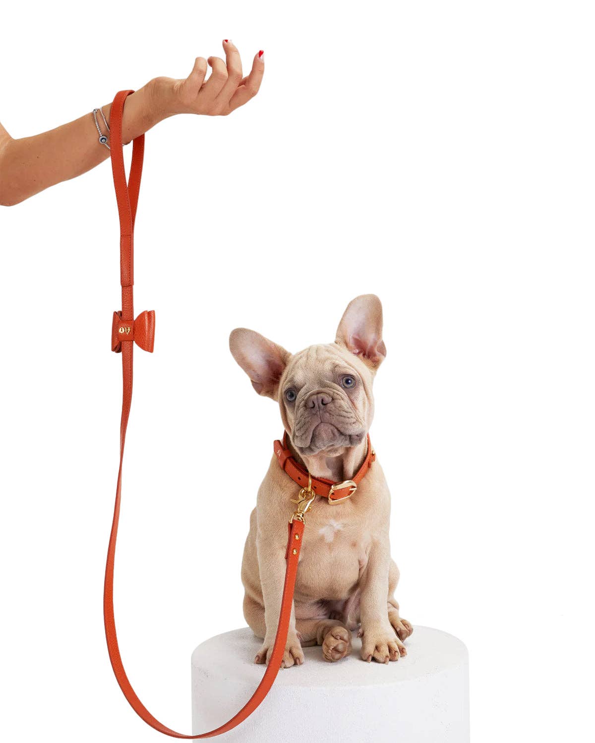MOSHIQA - Wholesale Pet Leash - Dog - Bisou Dog Leash1