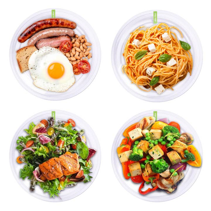 Daniel James - Wholesale Dinner Plate - Pack of 4 Clear Plastic Dinner Plates by Alex Nash5