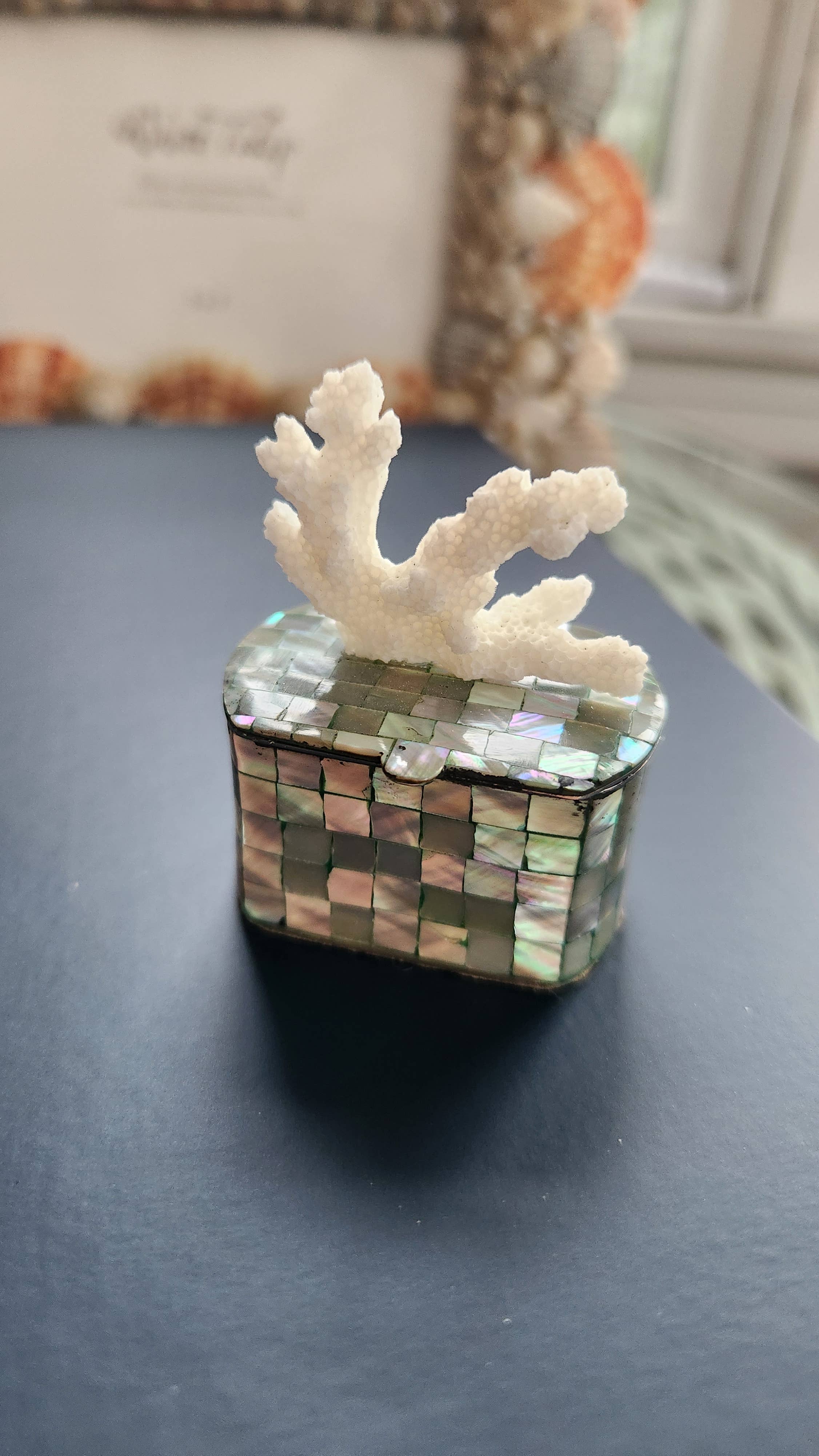 White Tulip Boutique - Wholesale Decorative Box - Mini Abalone MOP Shell Trinket Pill Box0