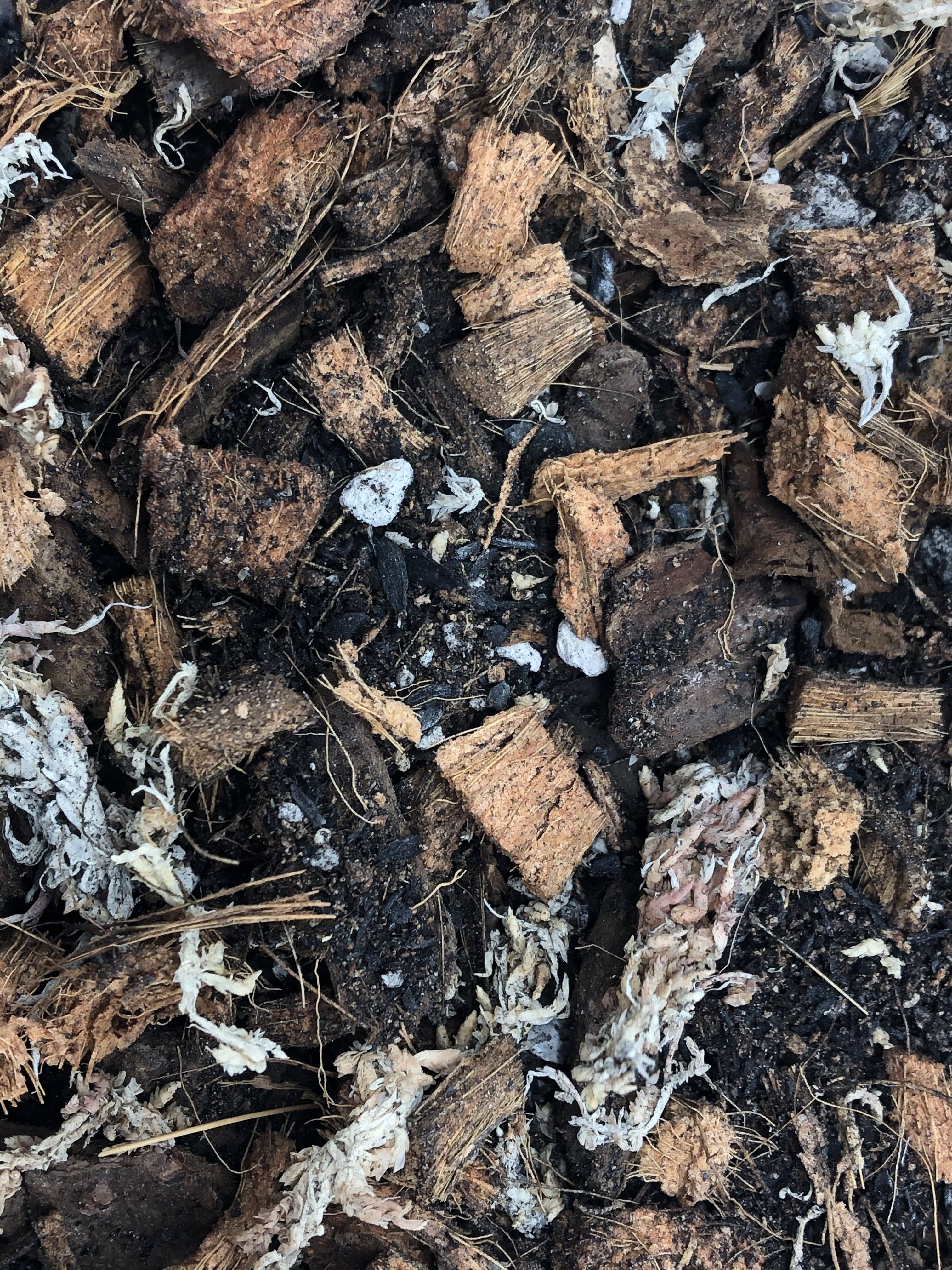 Rooting For You Plant Nursery - Vendita all'ingrosso Terriccio per piante/vasi - Mix per vasellatura ORCHID Premium2